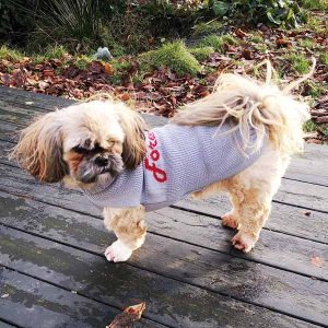 Grå hundesweater forever love-Ryg 24 cm