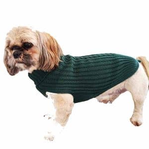 Grøn Hundesweater i merino uld-Ryg 21 cm